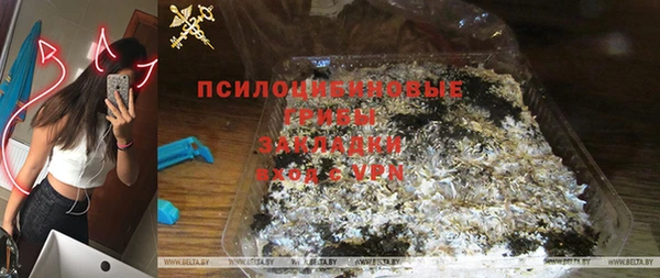прущие грибы Алексеевка