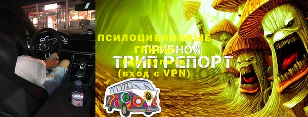 прущие грибы Алексеевка