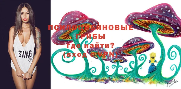 прущие грибы Алексеевка