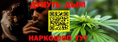 мяу мяу мука Гай