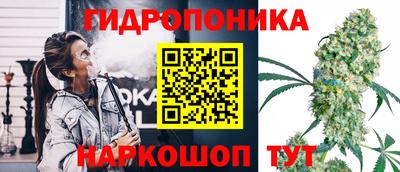 дмт Можайск