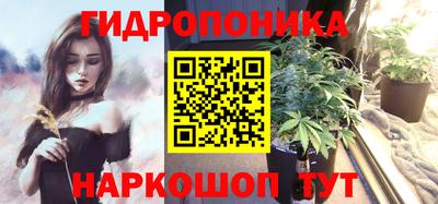 PSILOCYBIN Моздок