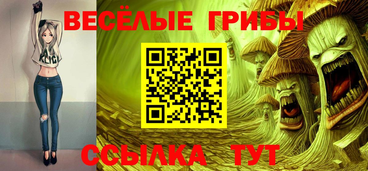 Глазов  Псилоцибиновые грибы Cubensis  Галлюциногенные грибы прущие грибы  Вход с VPN 