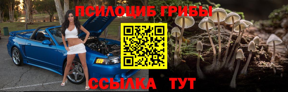 Псилоцибиновые грибы мухоморы Глазов